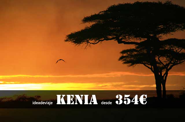 kenia354